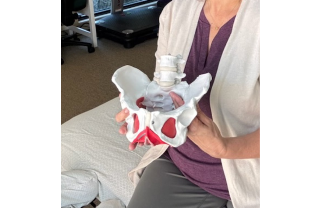 Pelvic-Health-Physical-Therapy.webp Pelvic-Health-Physical-Therapy